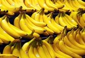 واردات موز و توتون به جای واکسن کرونا!